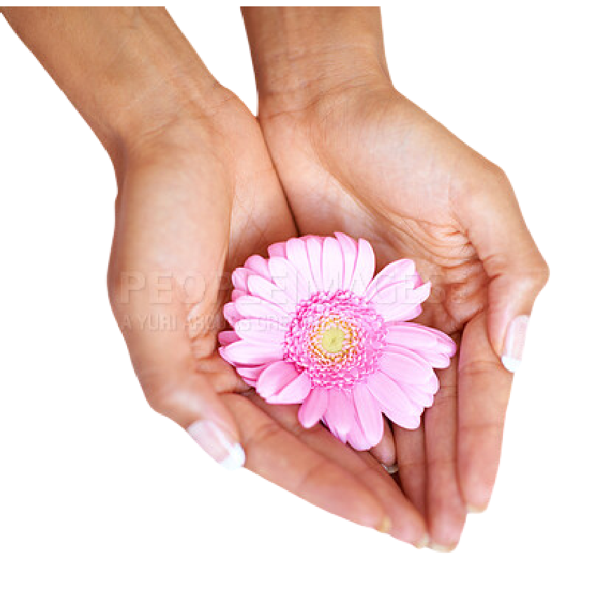 Primrose Herbals
